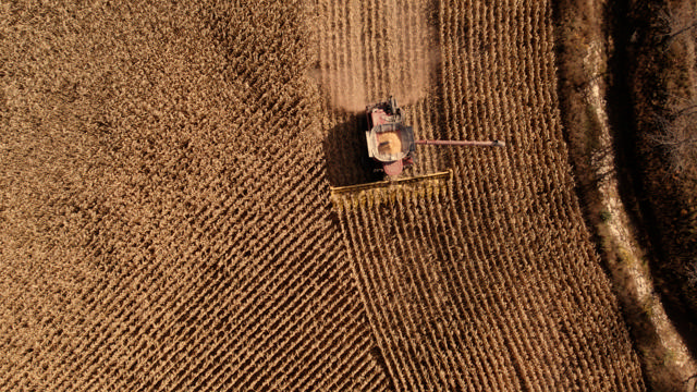 Turning Agricultural Waste into Renewable Diesel